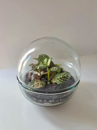 Terrario esfera cristal 12x12cm