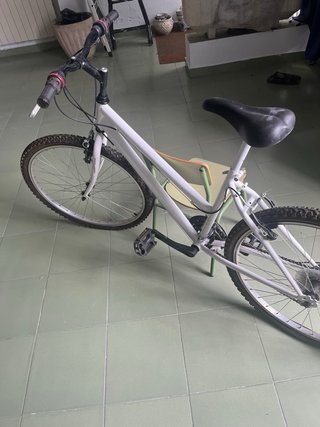 Bicicleta blanca