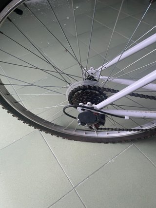 Bicicleta blanca