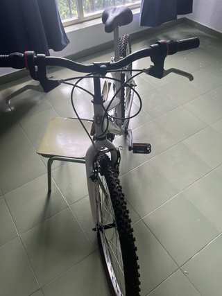 Bicicleta blanca