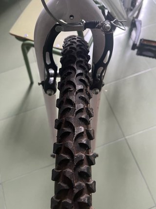 Bicicleta blanca