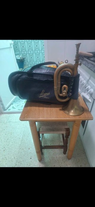 Corneta de latón con funda