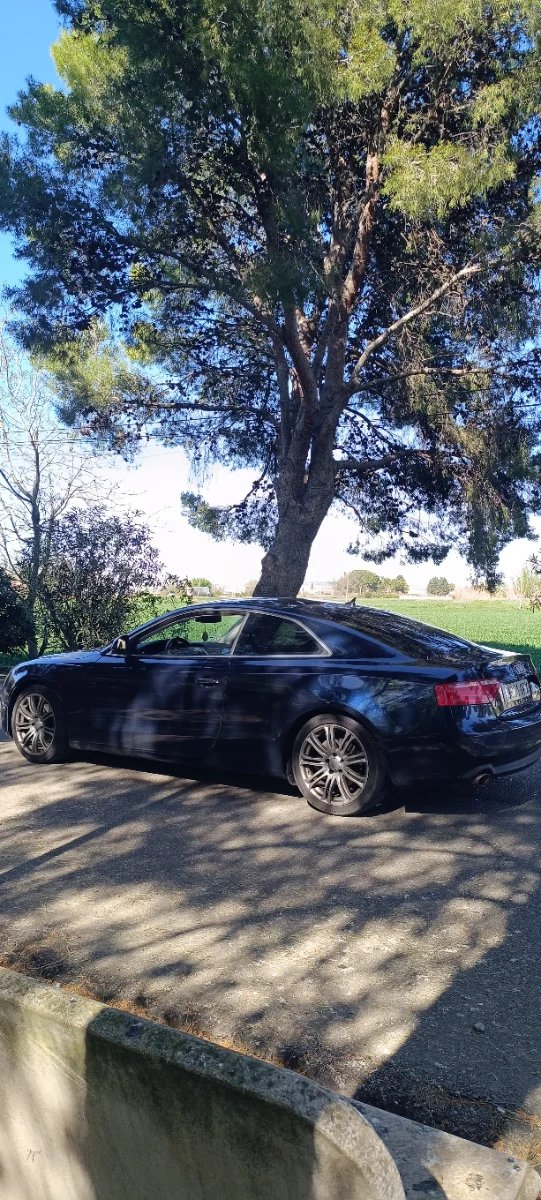 Audi A5 2008 - foto 1