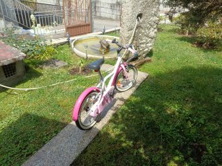 Bicicleta per bambini 14" rosa con ruotine