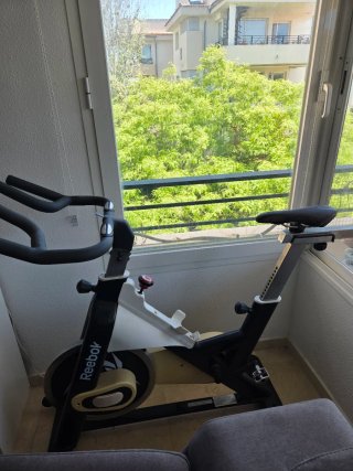 Bicicleta Spinning profesional Reebok Ciclismo Ind