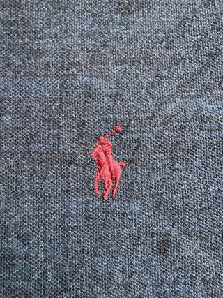 Polo Ralph Lauren Azul/Gris