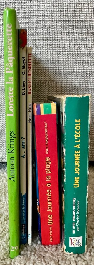 Lote libros infantiles en francés