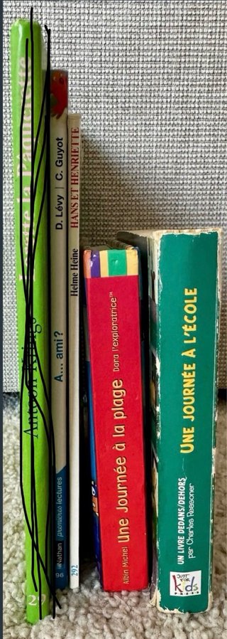 Lote libros infantiles en francés