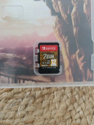 The Legend of Zelda Breath of the Wild Switch