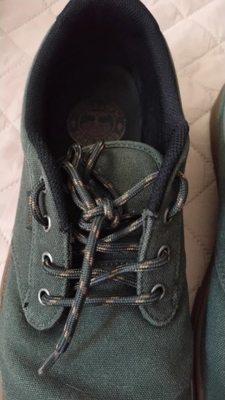 Zapatillas Etnies Verdes y Marrones