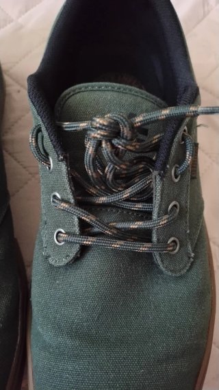 Zapatillas Etnies Verdes y Marrones