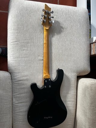 Guitarra Eléctrica Schecter Diamond 006