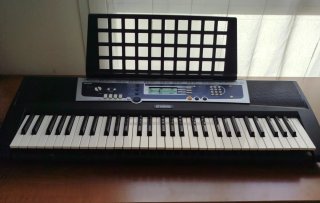 Teclado Yamaha YPT-210