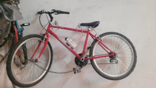 Bicicleta adulto