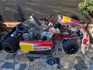 Kart Birel KZ