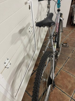 Bicicleta Montaña Specialized Sport Plata