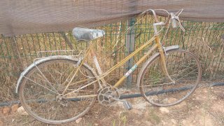 Bicicleta Gacela Antigua