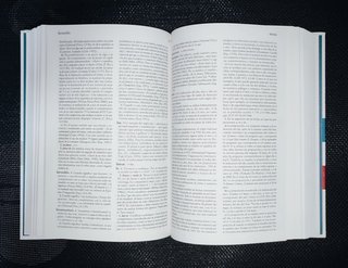 Diccionario Panhispánico de Dudas - RAE Santillana