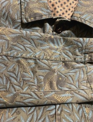 Chaqueta Di Cosimo verde estampado