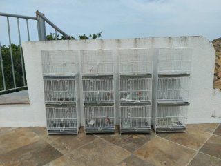 Jaulas para pájaros de 3 compartimentos en vertica