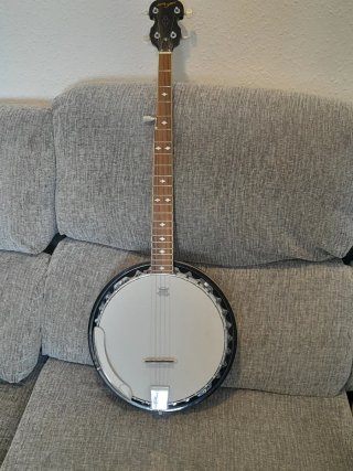 Banjo Johnny Guitar