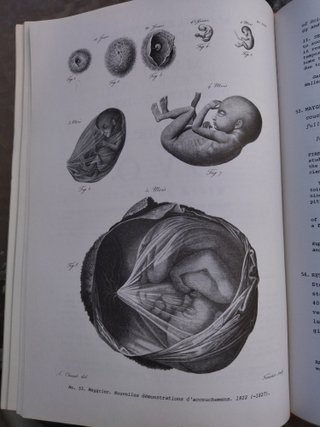 Catálogo Libros Antiguos No 71