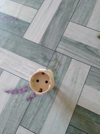 Adaptador de enchufe blanco
