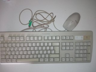 Teclado y ratón Toshiba Beige/Blanco