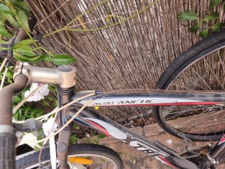 Bicicleta de montaña