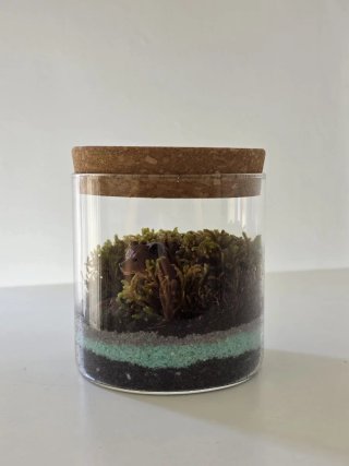 Terrario artesanal con figura de osito y musgo