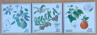 Lote de 3 azulejos decorativos vintage. M. Cartañá