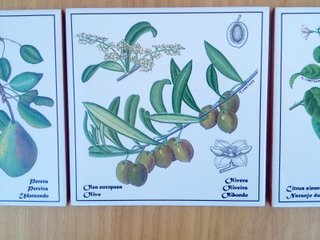 Lote de 3 azulejos decorativos vintage. M. Cartañá