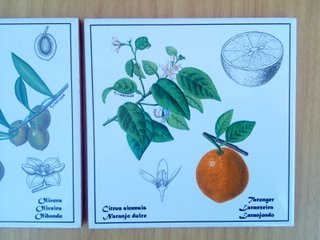 Lote de 3 azulejos decorativos vintage. M. Cartañá