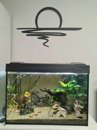 Acuario Eheim 80L + Accesorios