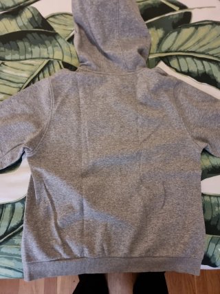Chaqueta con capucha Nike gris