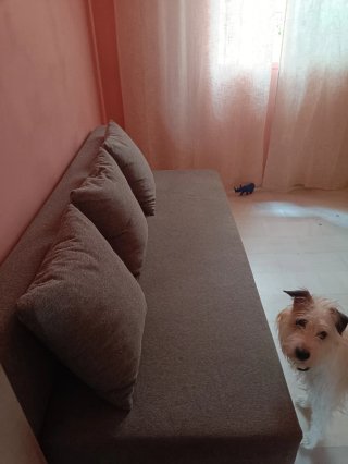 Sofá Cama gris
