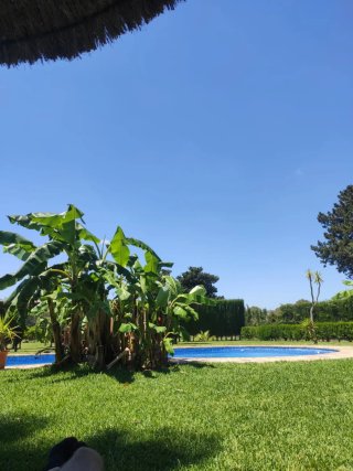 Mantenimiento jardines