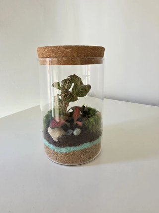 Terrario artesanal con Fittonias | mini ecosistema