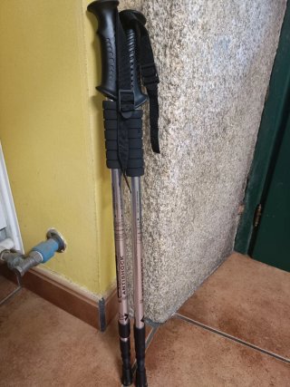 Bastones de trekking Antishock