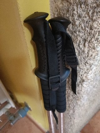 Bastones de trekking Antishock