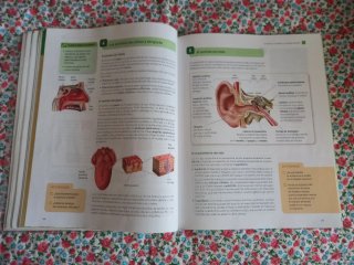 Biología y geología 3 ESO Santillana
