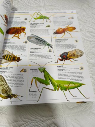 Libro Mundo Animal