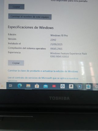 Portátil Toshiba Satellite Pro Gris