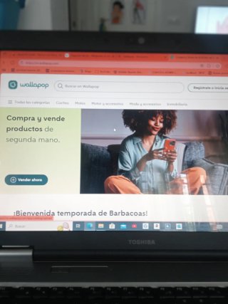 Portátil Toshiba Satellite Pro Gris