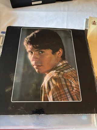 Vinilo Canta... Raphael