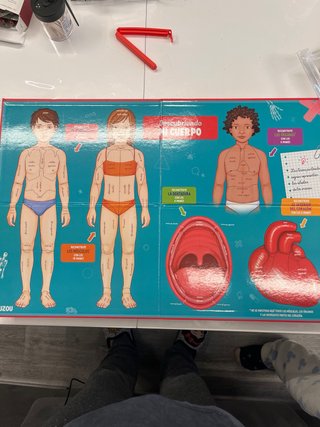Descubriendo Mi Cuerpo Libro Infantil