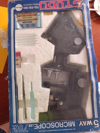 Microscopio 5 Way Lab 750x