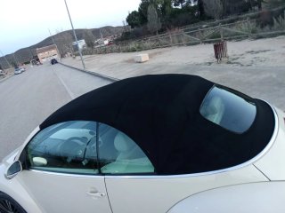 Volkswagen Beetle 2004