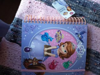 Diario Sofia la Principessa con tag
