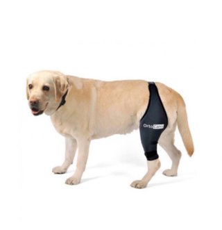 Rodillera para perro Ortocanis Negra